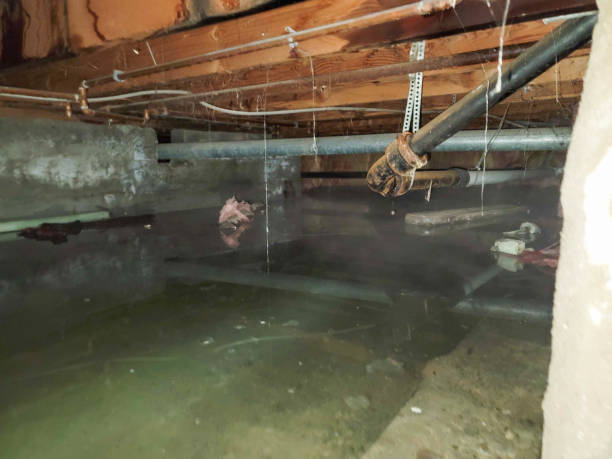 Best Water damage restoration near me  in Harbour Heights, FL