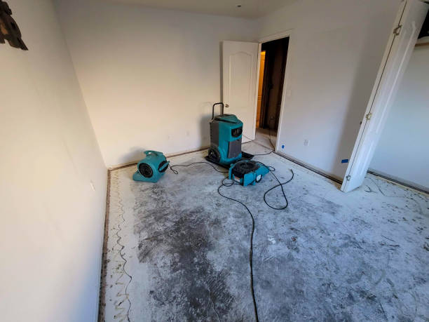 Best 24-hour water damage restoration  in Harbour Heights, FL