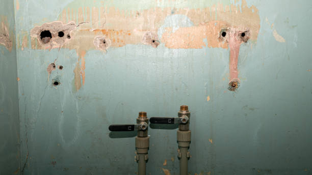Best Basement water damage restoration  in Harbour Heights, FL