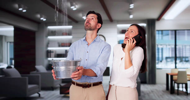 Best Fire Damage Restoration  in Harbour Heights, FL